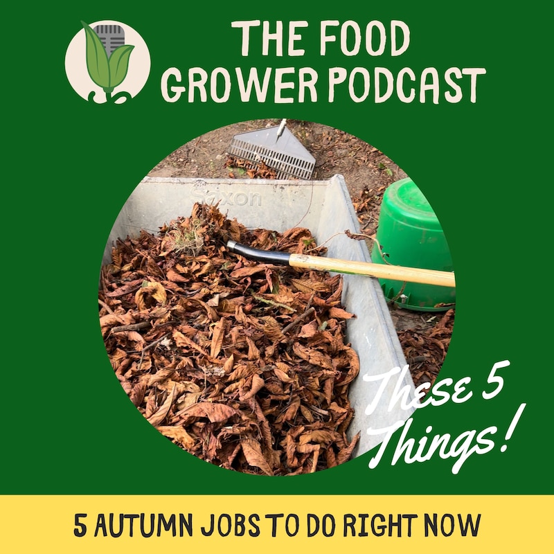 Artwork for podcast The Food Grower Podcast