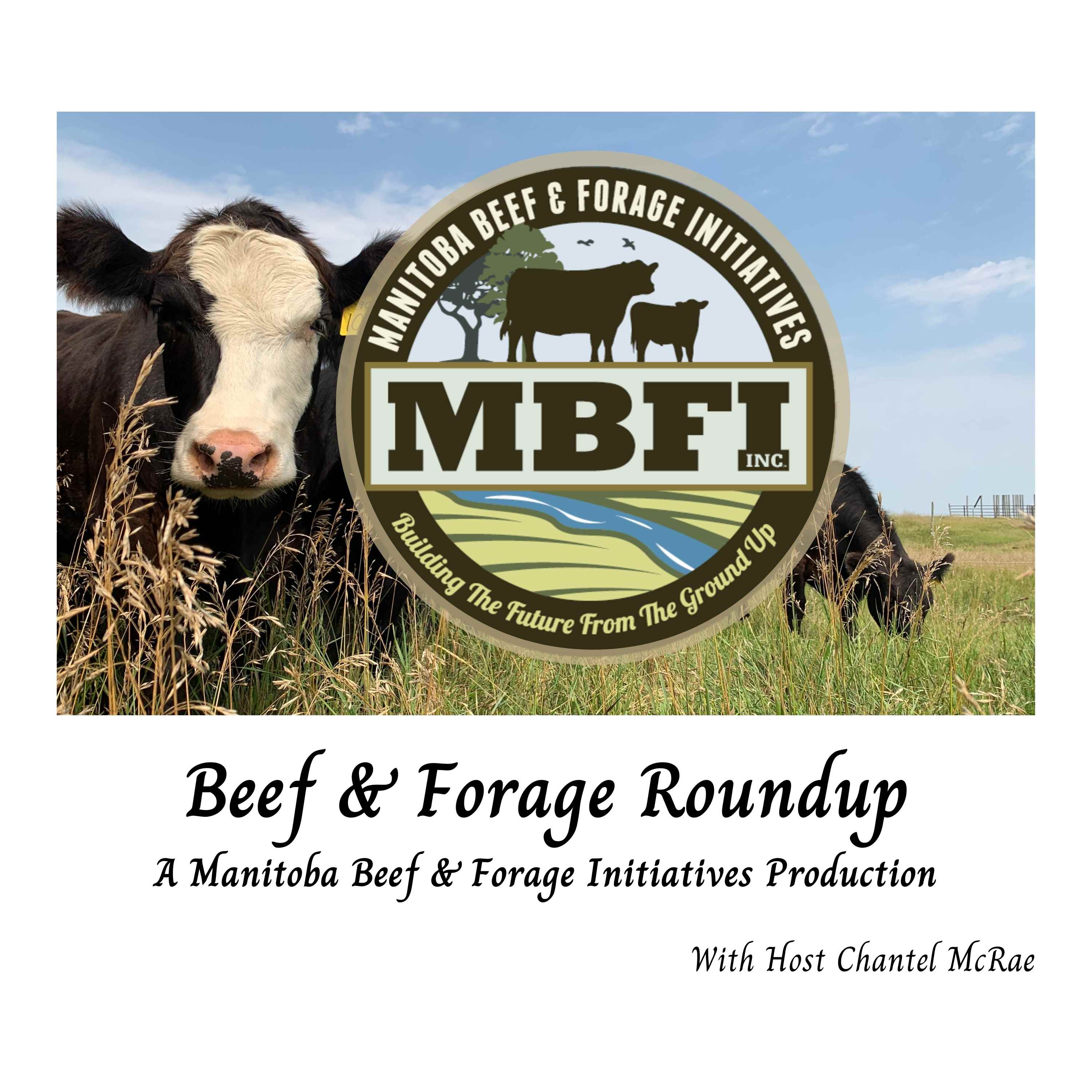 Show artwork for Beef and Forage Roundup