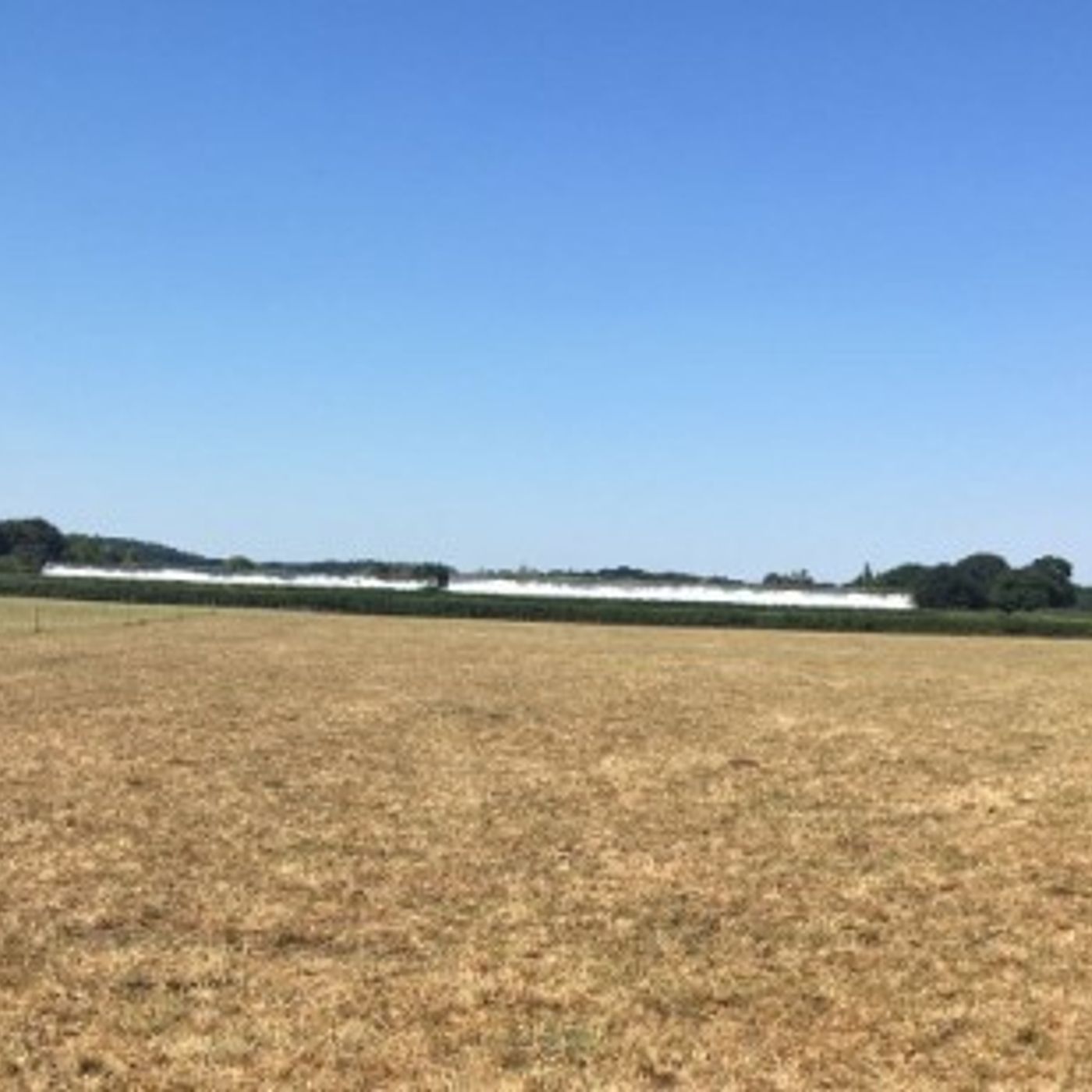 AHDB Food & Farming
