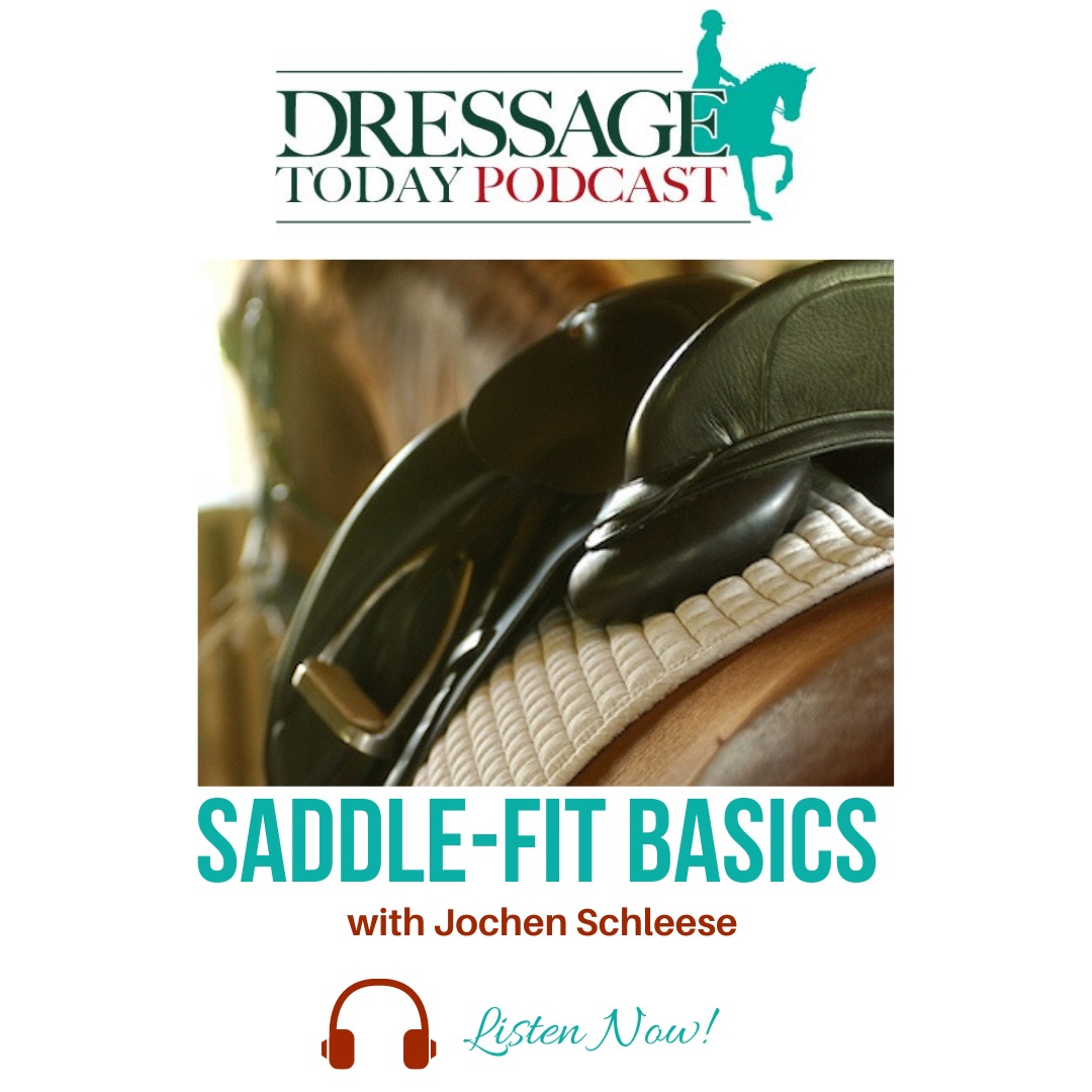 Season 2, Episode 2: Saddle-Fit Basics with Jochen Schleese episode artwork