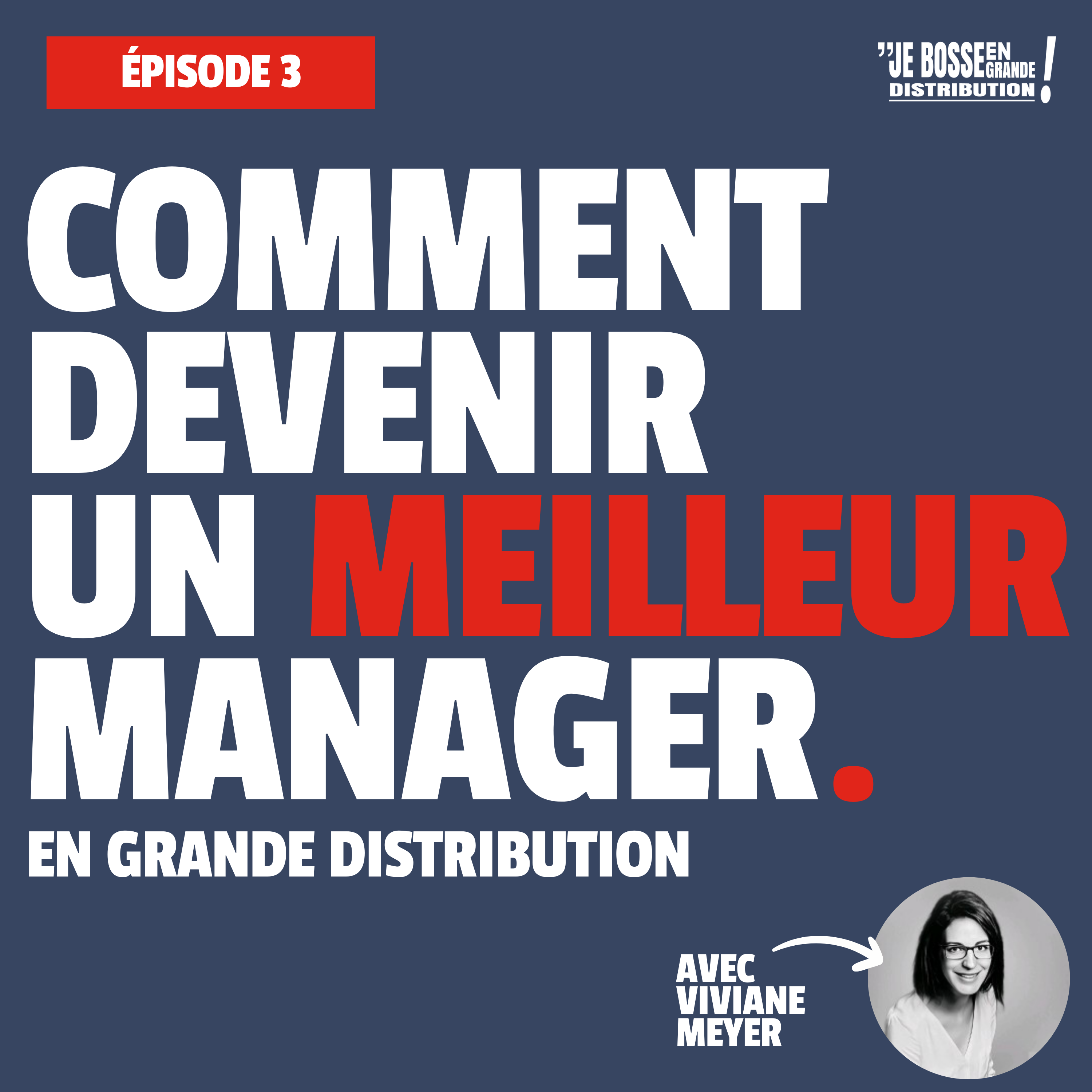 MINI-SÉRIE #3 - Comment devenir un meilleur manager - La méthode DISC  - avec Viviane Meyer