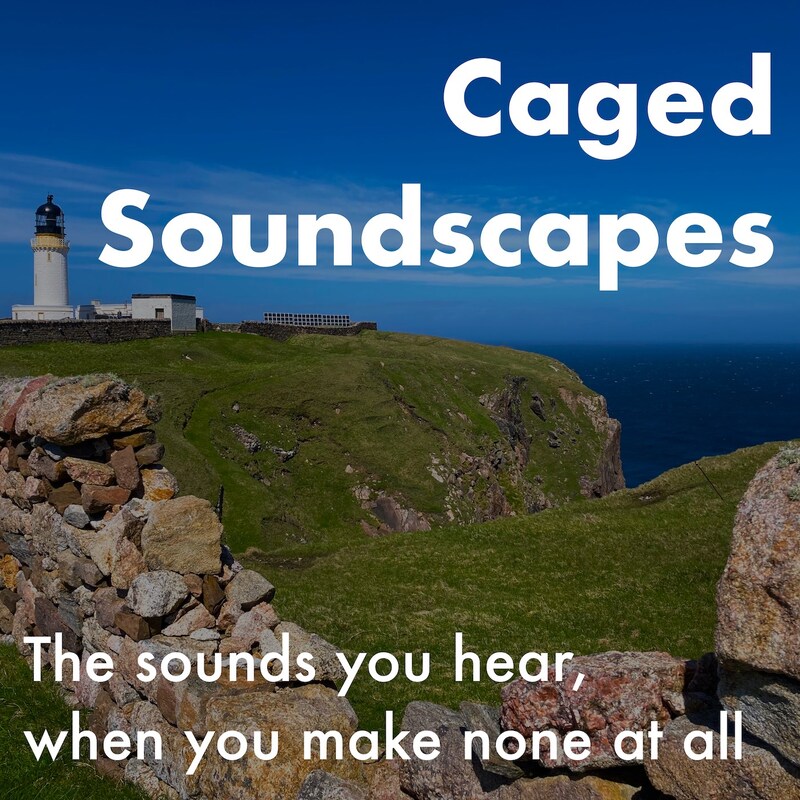 Artwork for podcast Caged Soundscapes