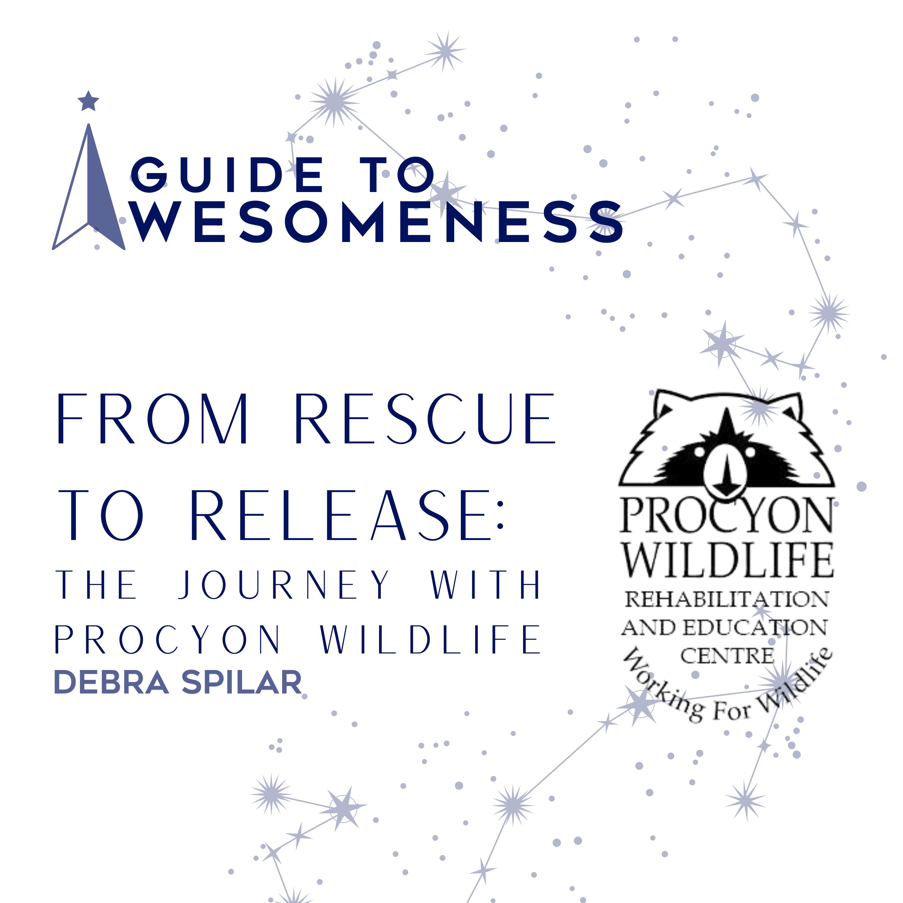 Guide To Awesomeness