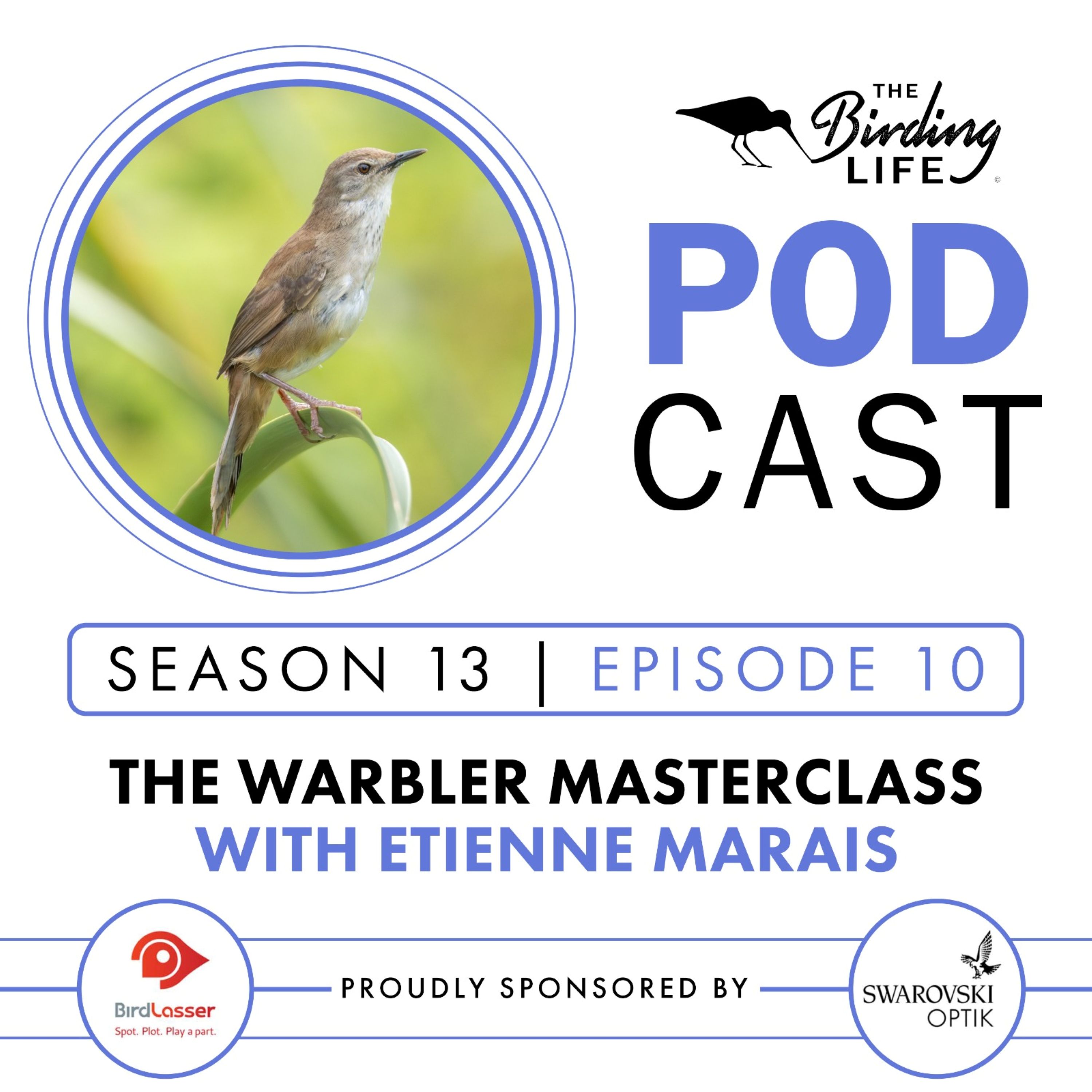 TBL Podcast - Season 13 Episode 10 - The Warbler Masterclass with Etienne Marais