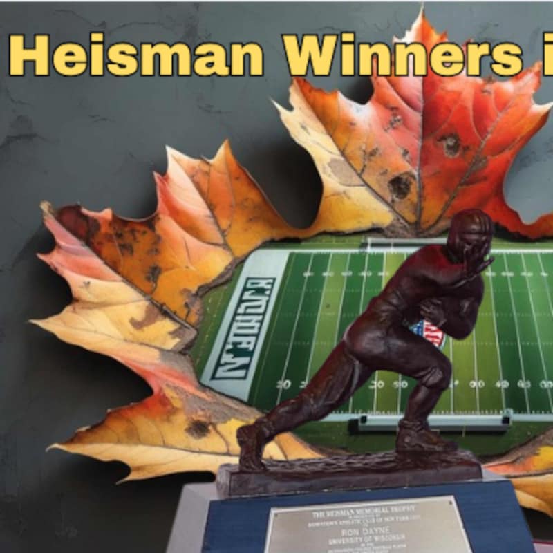 Artwork for podcast Pigskin Dispatch