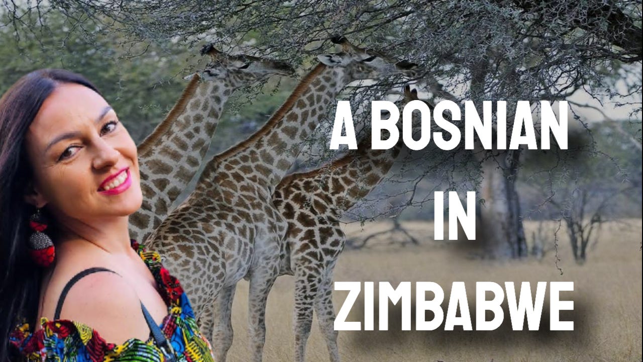 From Bosnia to Zimbabwe