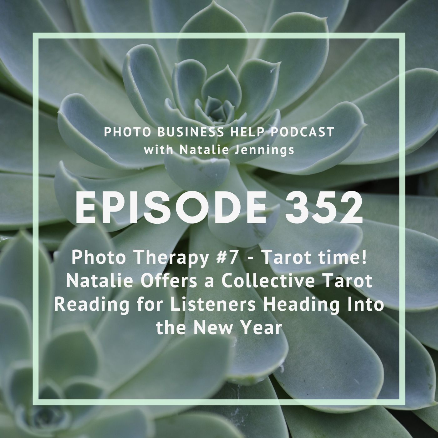 352 Photo Therapy #7 - Tarot time! Natalie Offers a Collective Tarot Reading for Listeners Heading Into the New Year