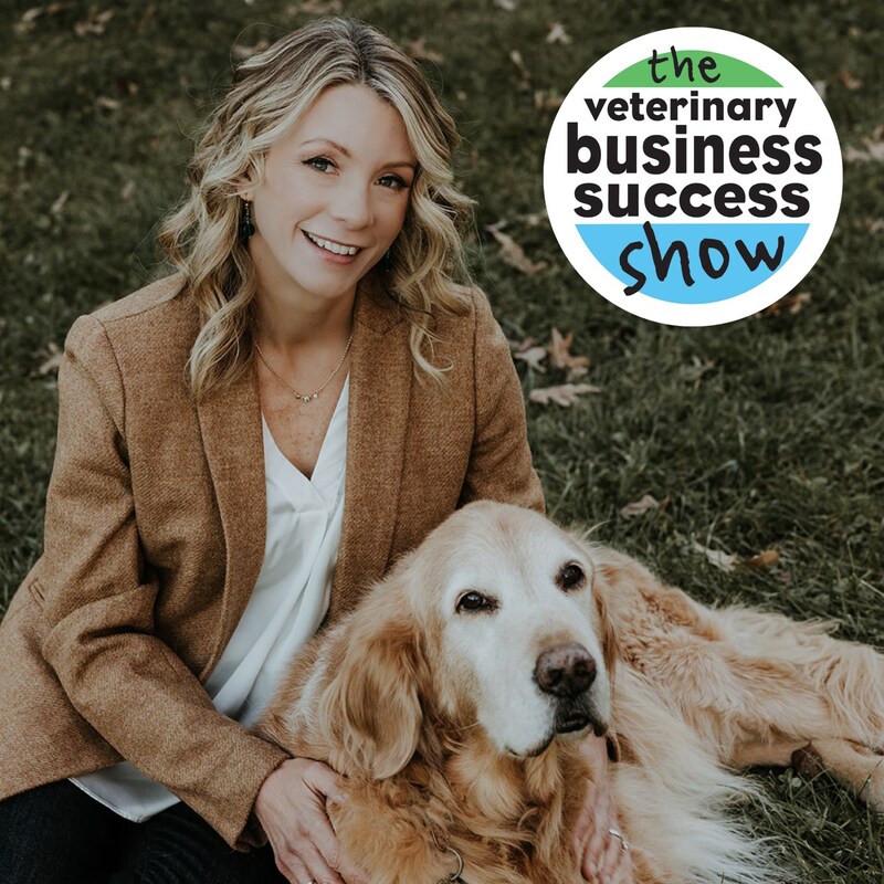 Artwork for podcast The Veterinary Leadership Success Show