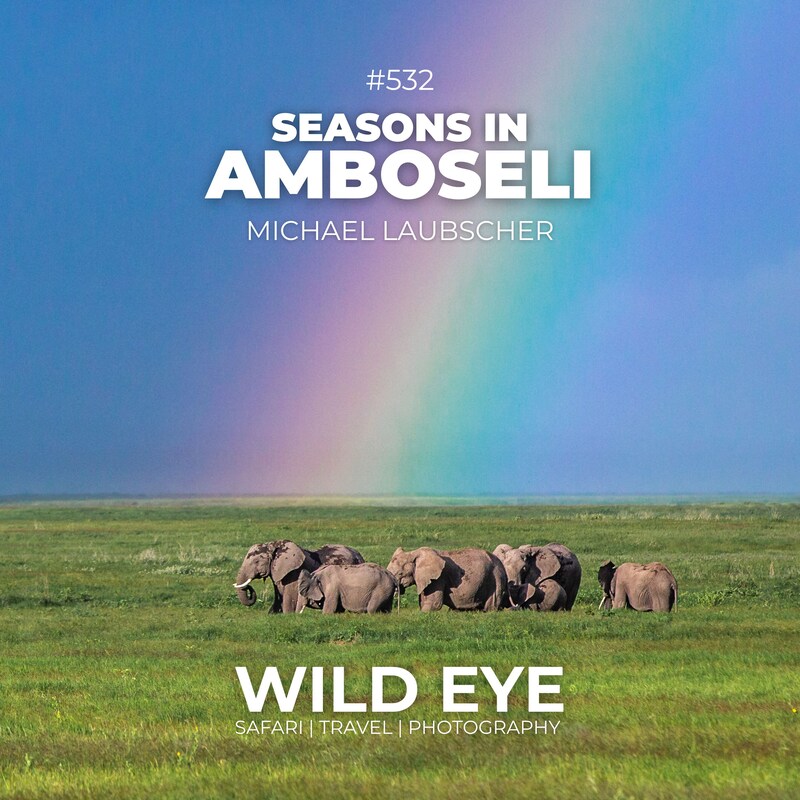 Artwork for podcast The Wild Eye Podcast