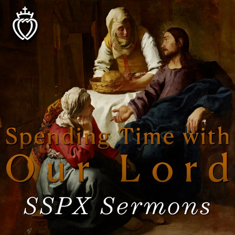 Artwork for podcast SSPX Sermons