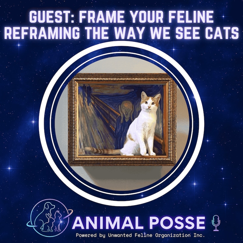 Artwork for podcast Animal Posse
