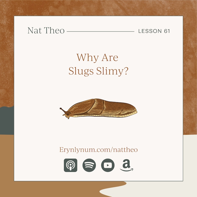 Artwork for podcast Nat Theo Nature Lessons Rooted in the Bible