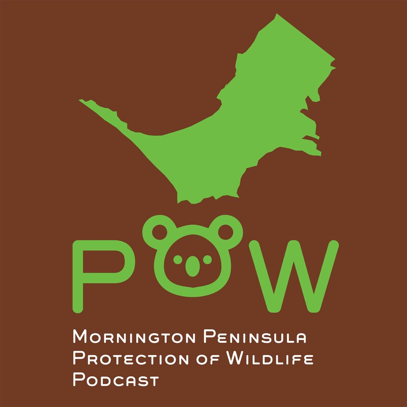Artwork for podcast POW - Protection of Wildlife