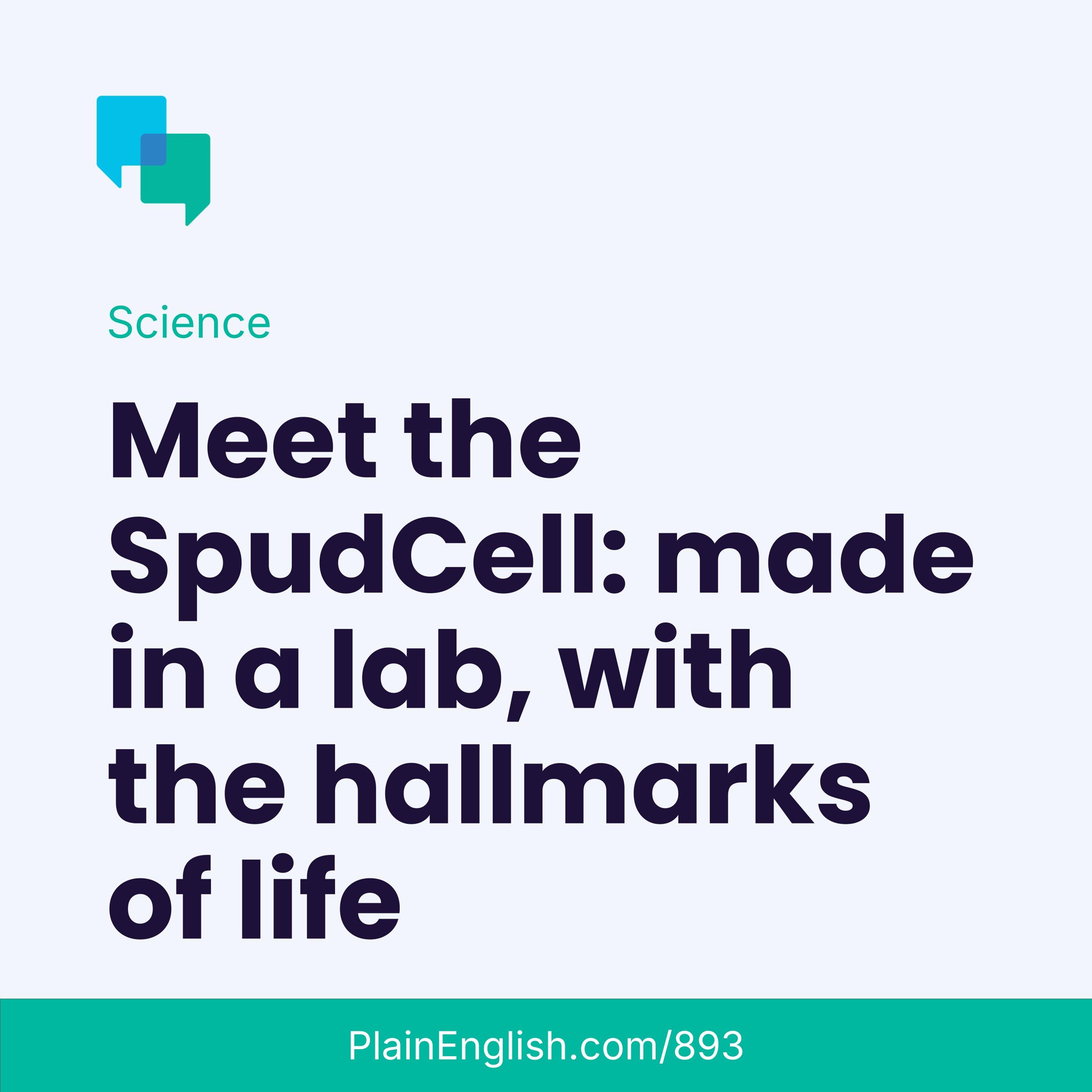 Meet the lab-made SpudCell