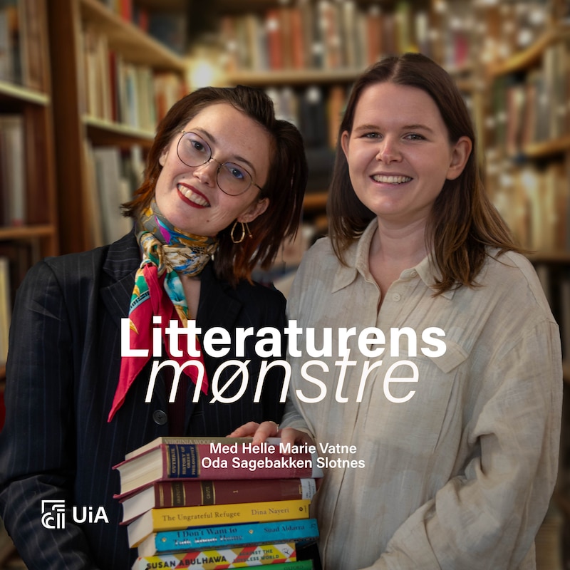 Artwork for podcast Litteraturens mønstre