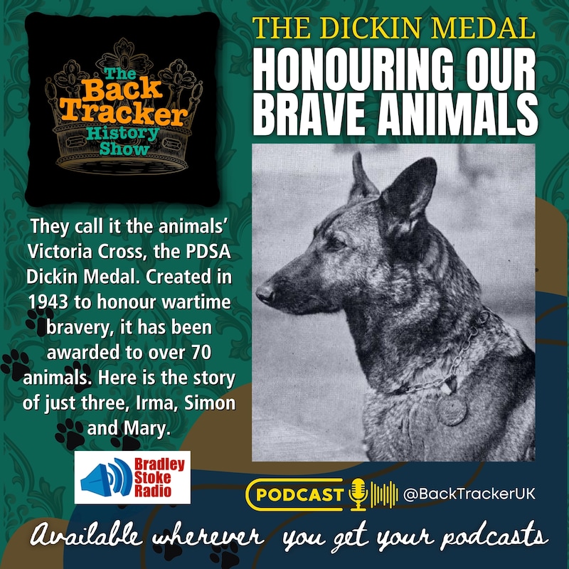 Artwork for podcast The BackTracker History Show
