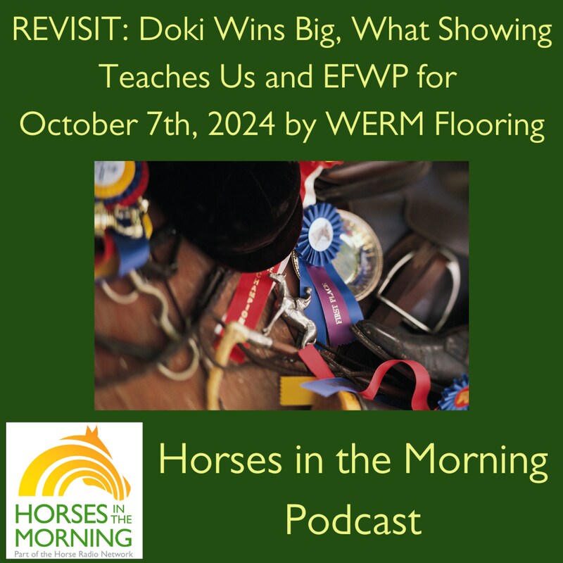 Artwork for podcast HORSES IN THE MORNING