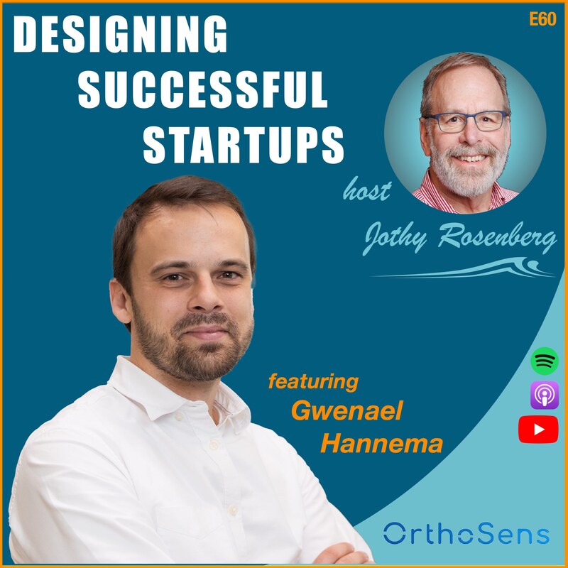 Artwork for podcast Designing Successful Startups