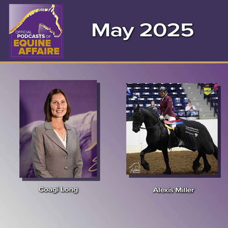 Artwork for podcast Horses in the Morning