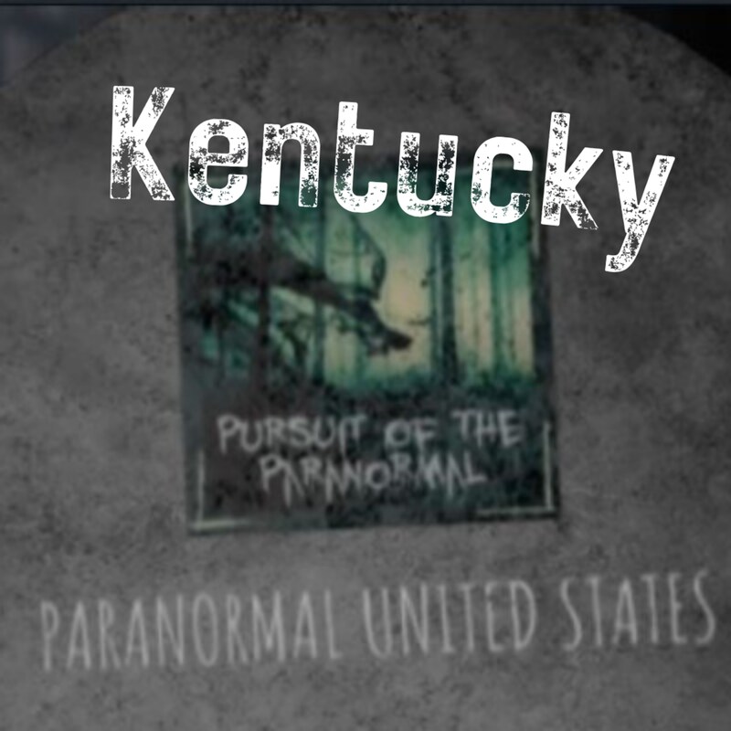 Artwork for podcast Pursuit of the Paranormal