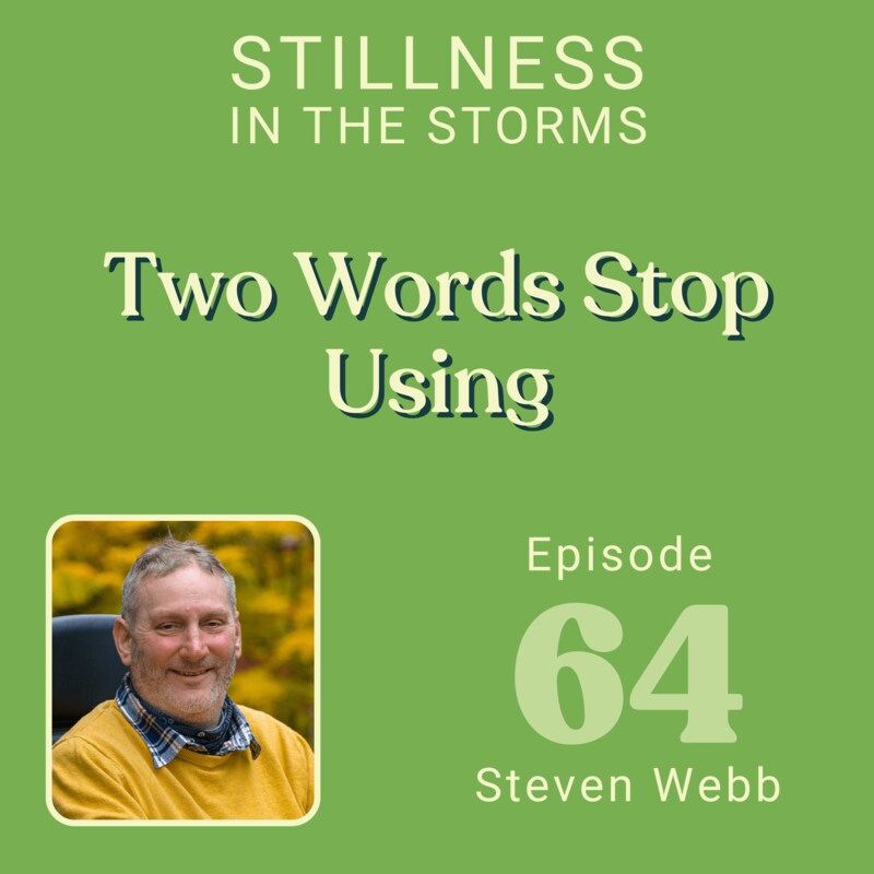 Artwork for podcast Stillness in the Storms