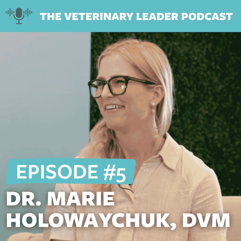 Artwork for podcast The Veterinary Leader Podcast