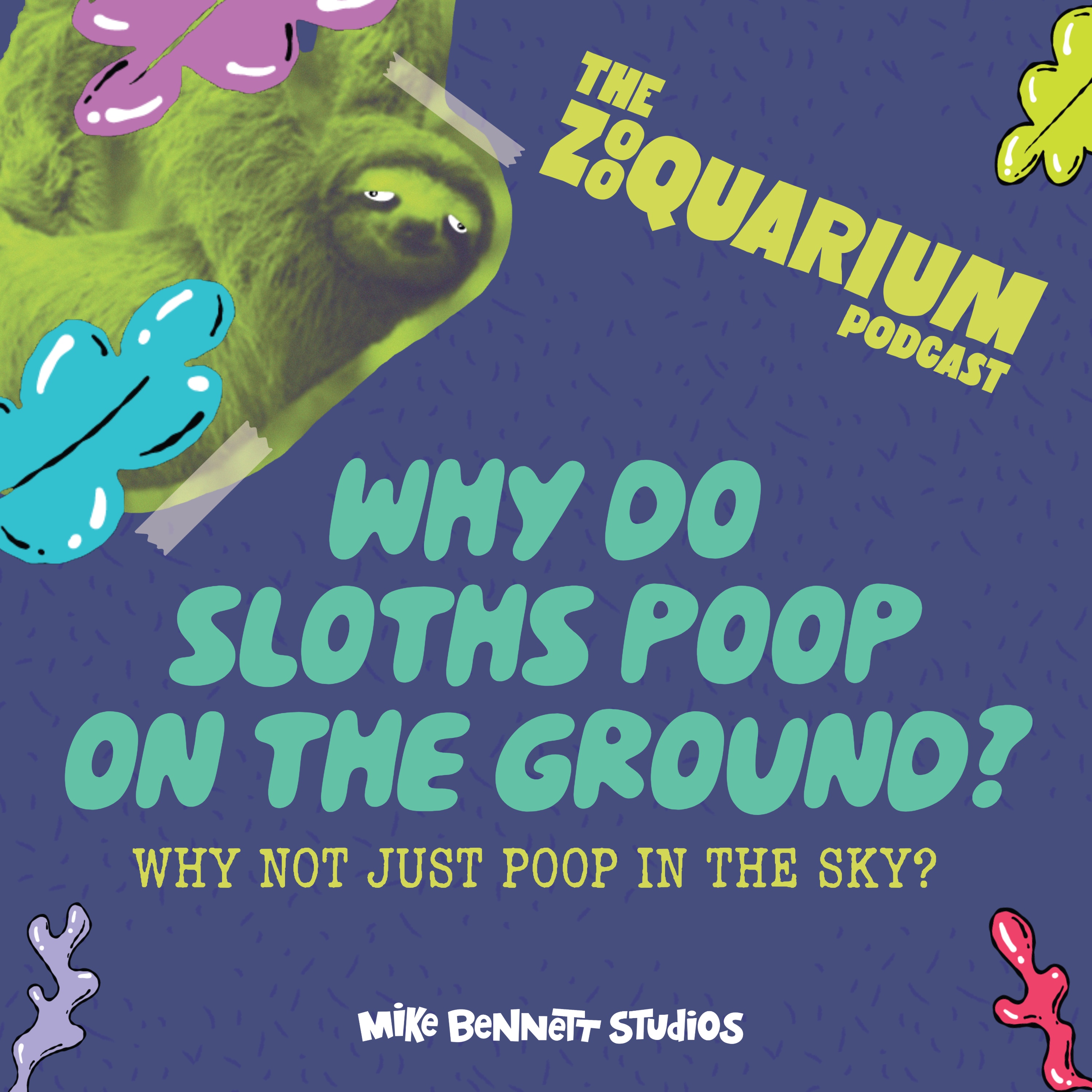 Why Do Sloths Poop on the Ground?