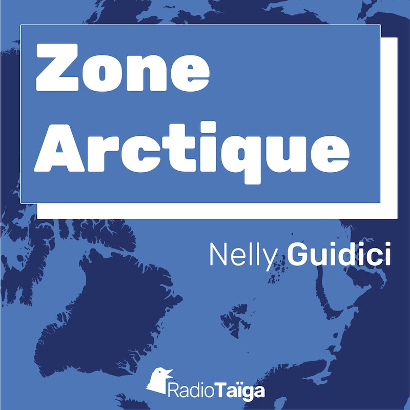 Artwork for podcast Zone Arctique