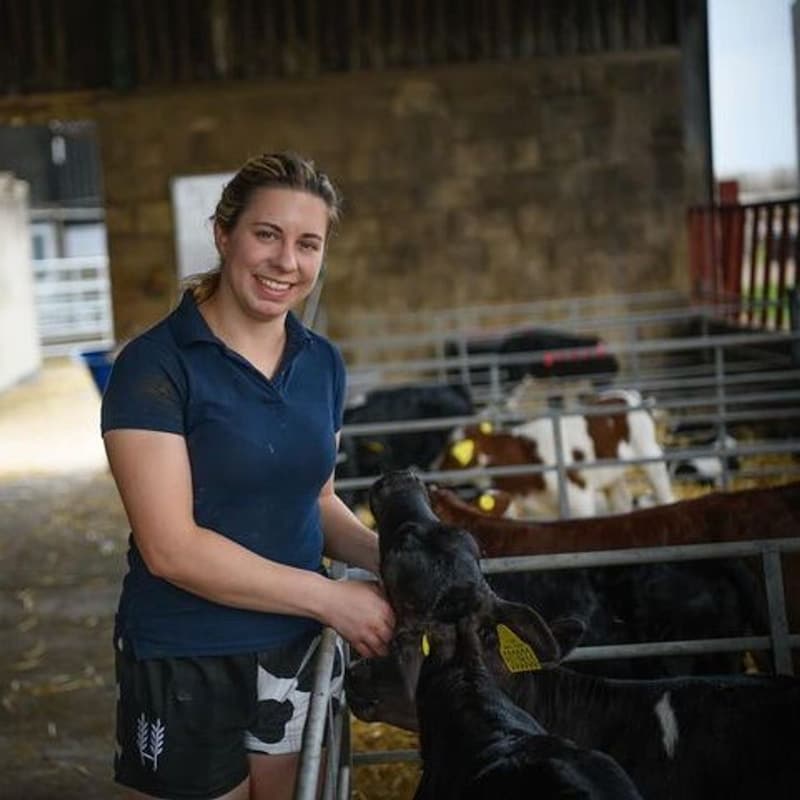 Artwork for podcast AHDB Food & Farming