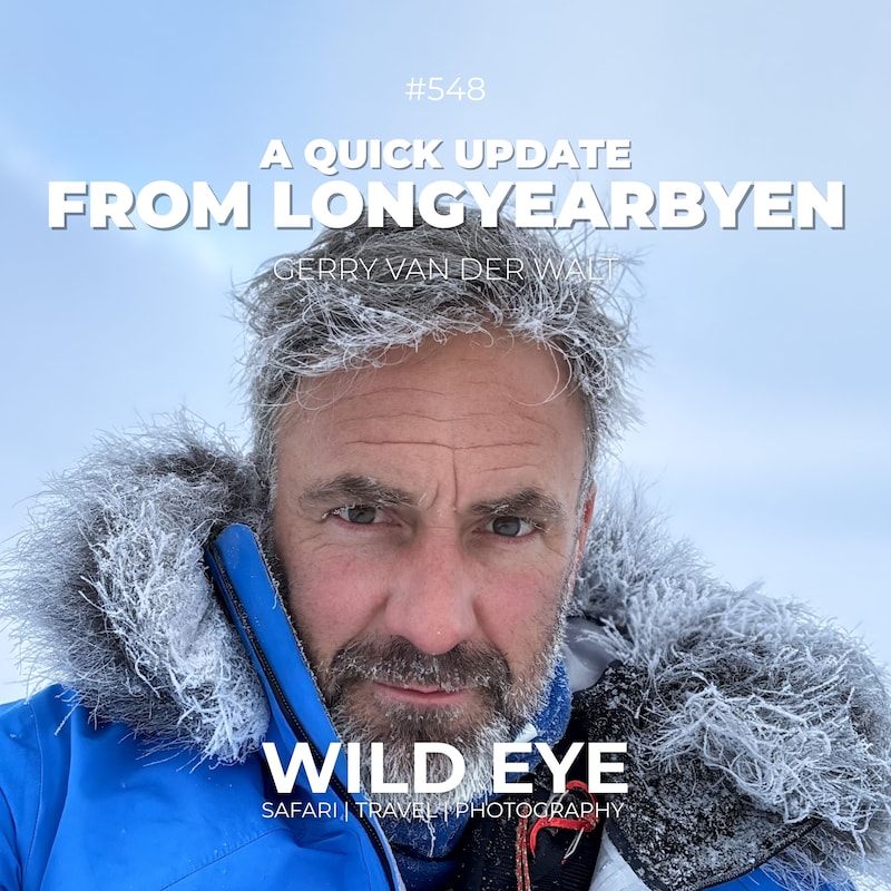 Artwork for podcast The Wild Eye Podcast