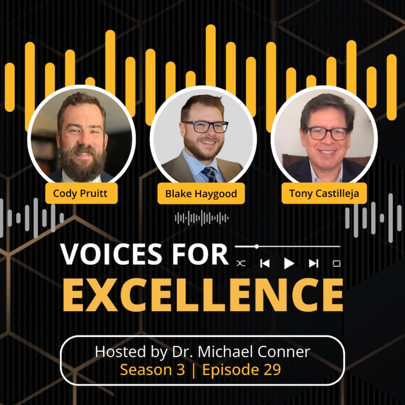 Artwork for podcast Voices for Excellence
