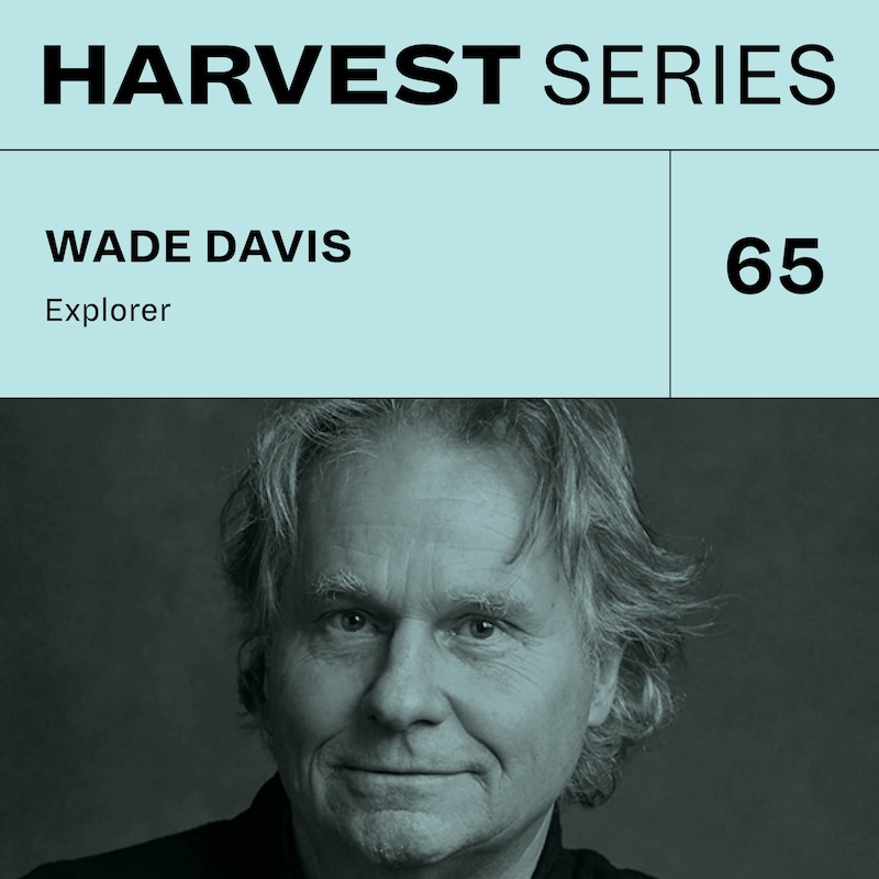 Artwork for podcast Harvest Series