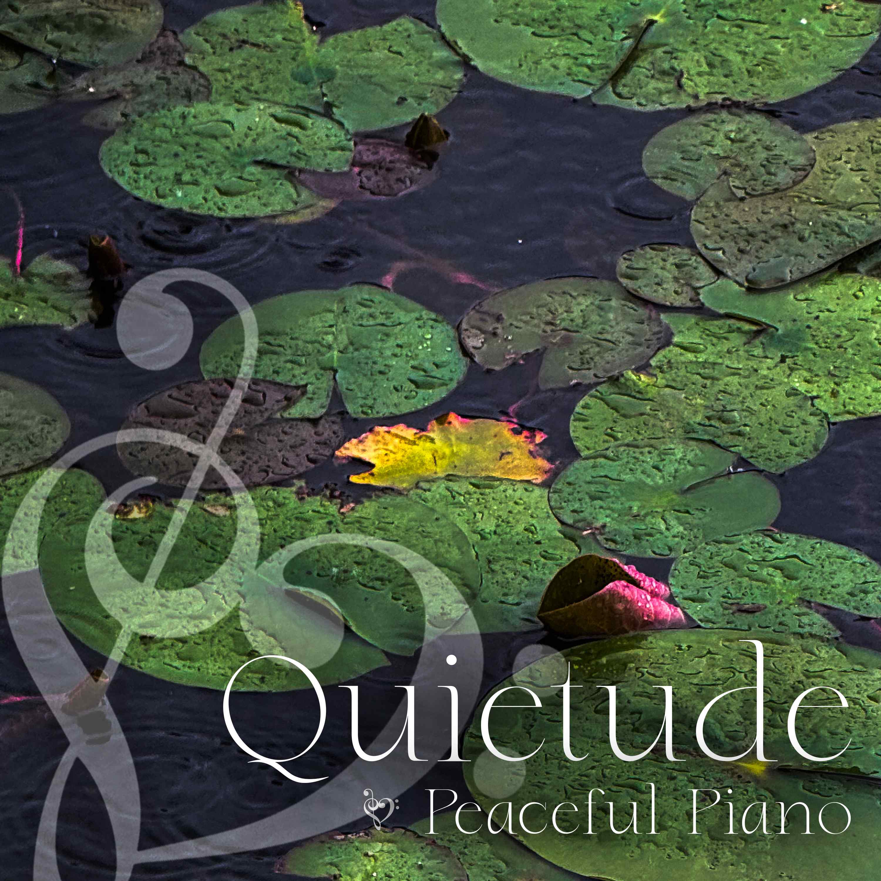 Peaceful Piano for a Calm Mind with Gray Treefrogs - 4 Hours - "California Queen" episode artwork