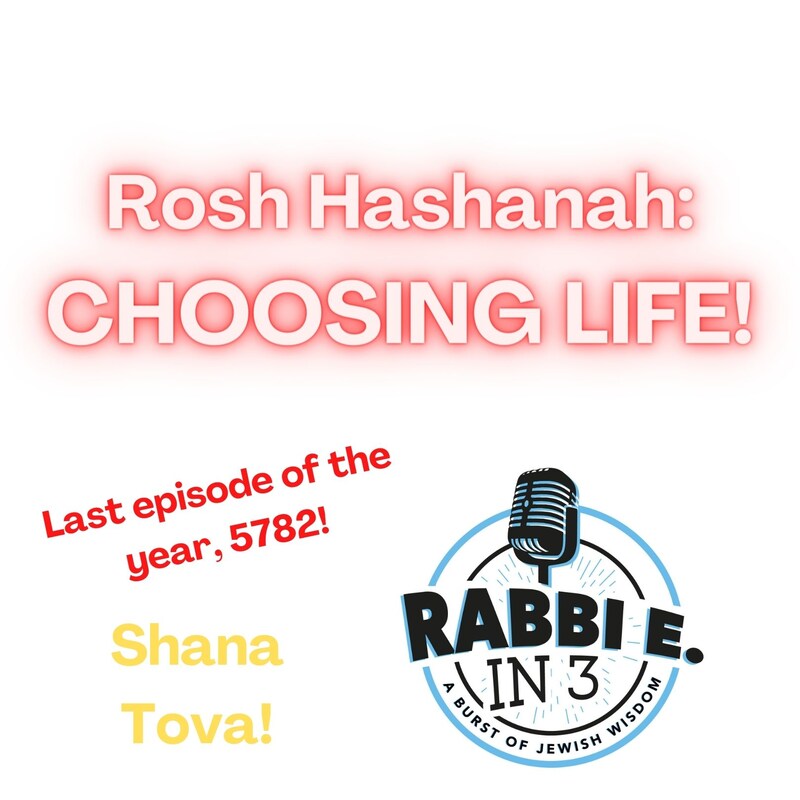 Artwork for podcast Rabbi E in 3