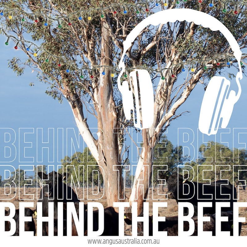 Artwork for podcast Behind the Beef