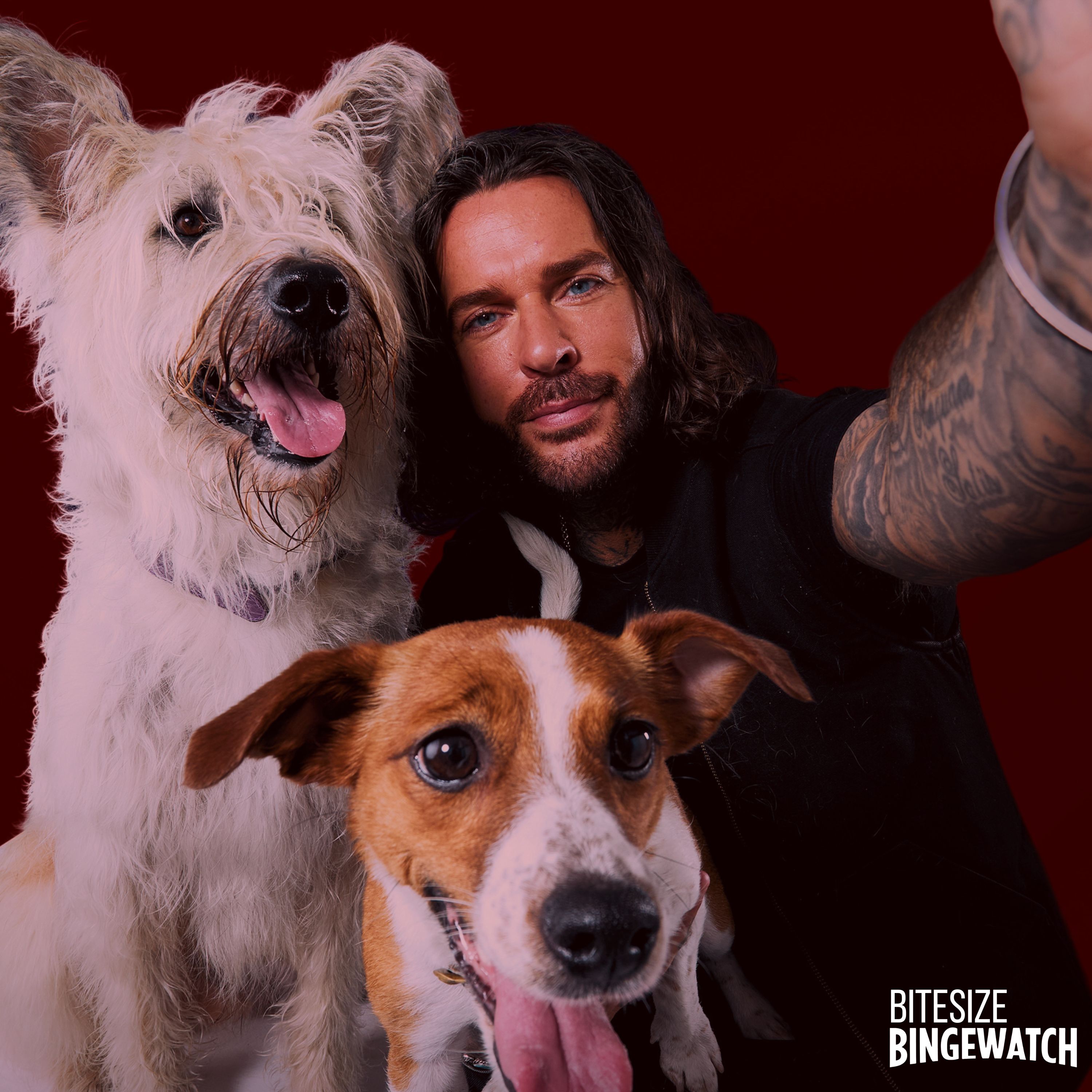 Pete Wicks: For Dogs' Sake (Series 1, U, 2025) episode artwork
