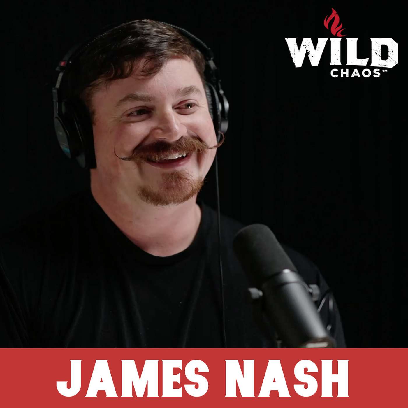 The Wild Chaos Podcast