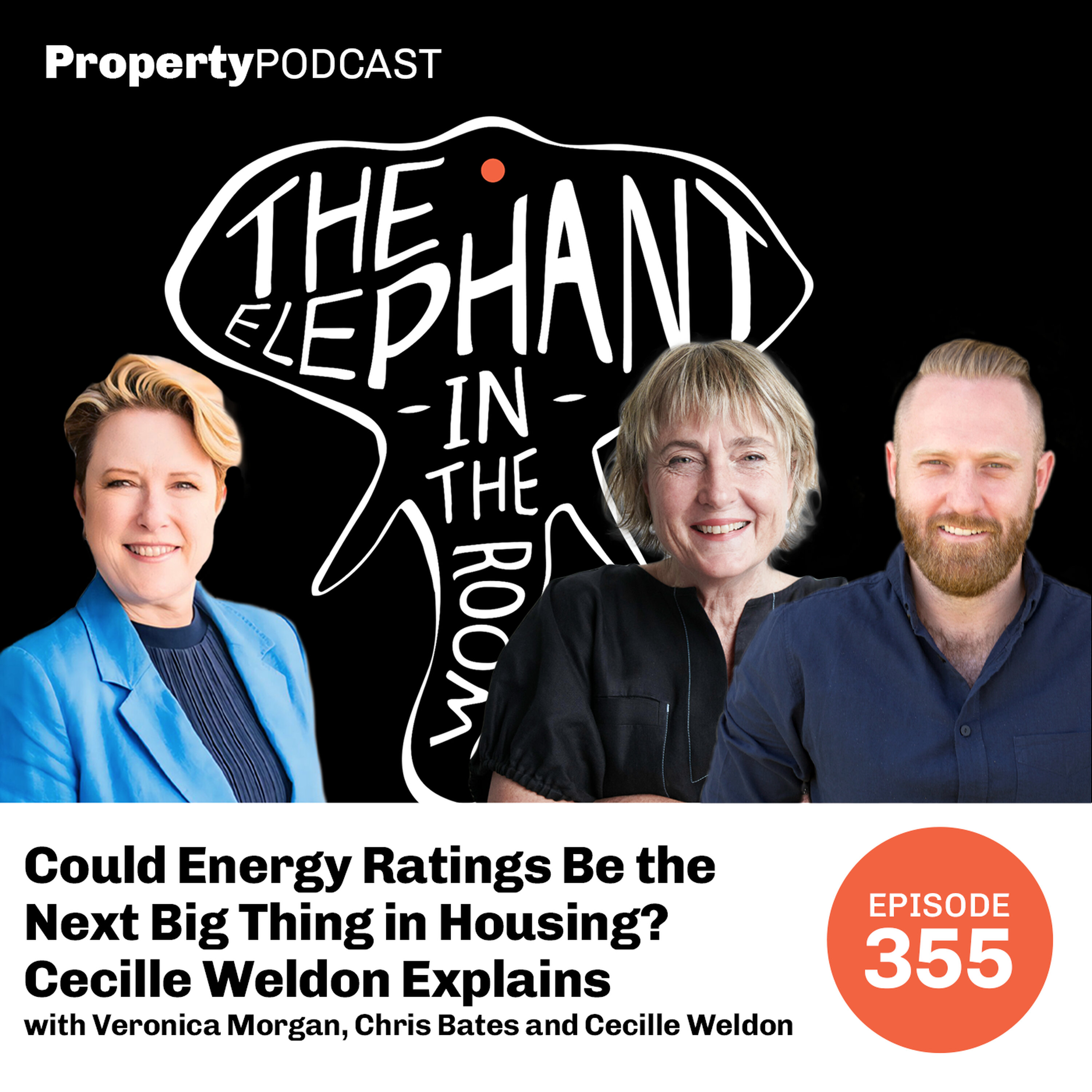 Could Energy Ratings Be the Next Big Thing in Housing? Cecille Weldon Explains