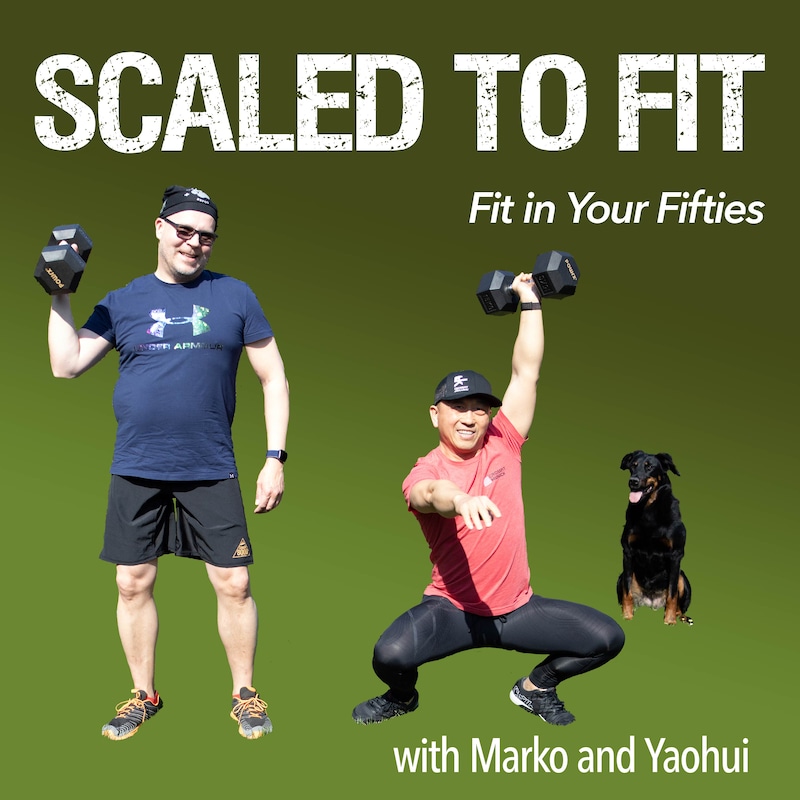 Artwork for podcast Scaled to Fit