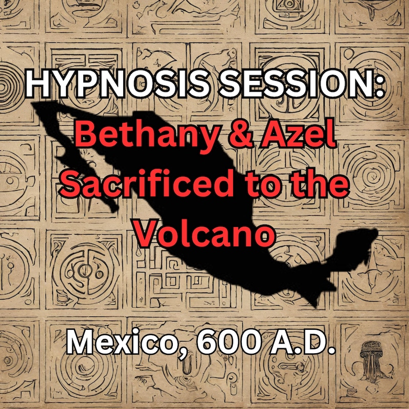 Artwork for podcast Past Life Traveler