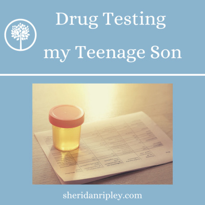 #41 Drug Testing my Teenage Son AKA Another fun day at my house. episode artwork