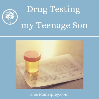 Artwork for podcast Finding Joy in the Journey