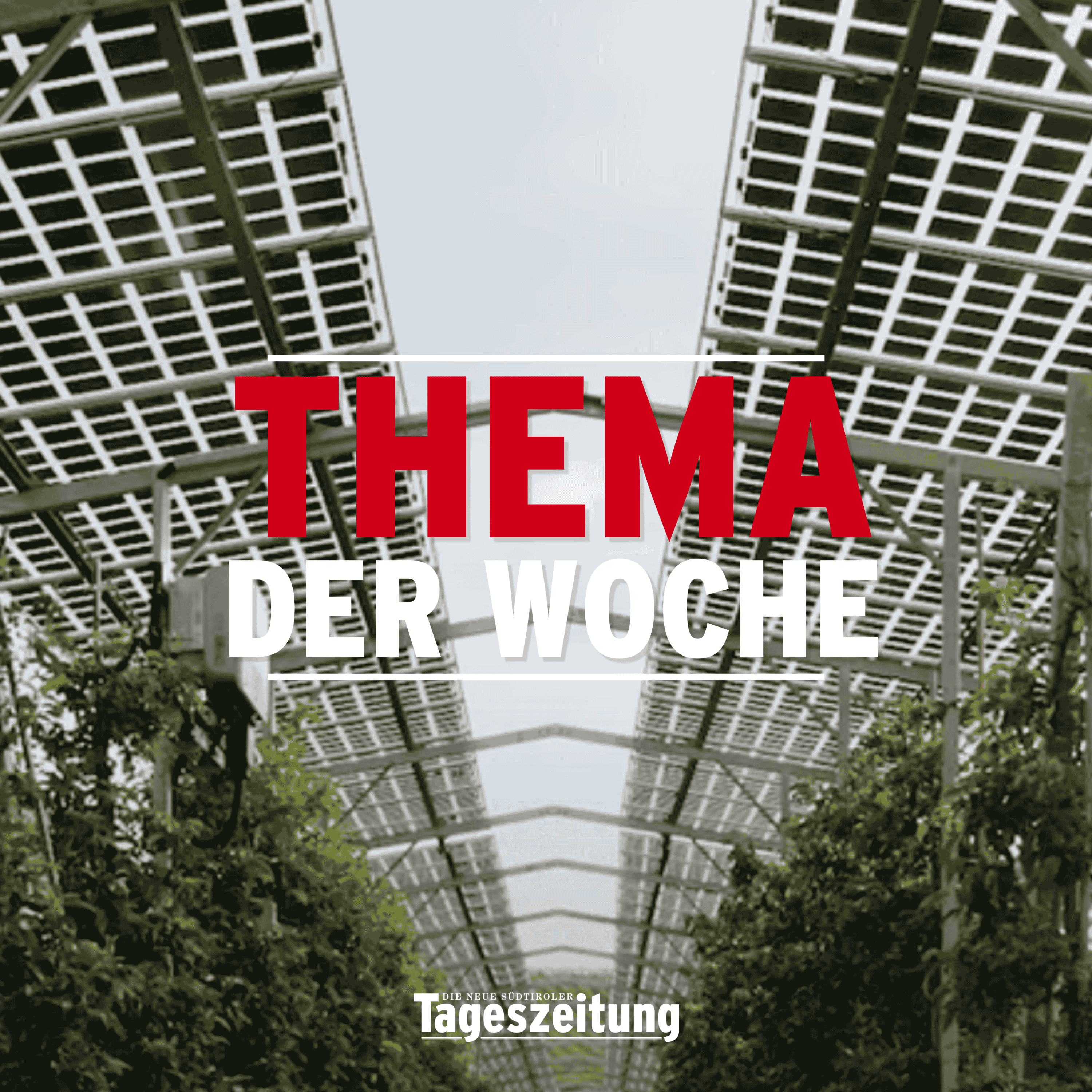 Thema der Woche