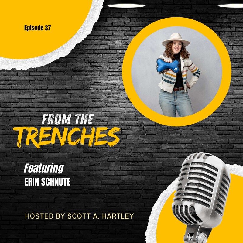 Artwork for podcast From The Trenches