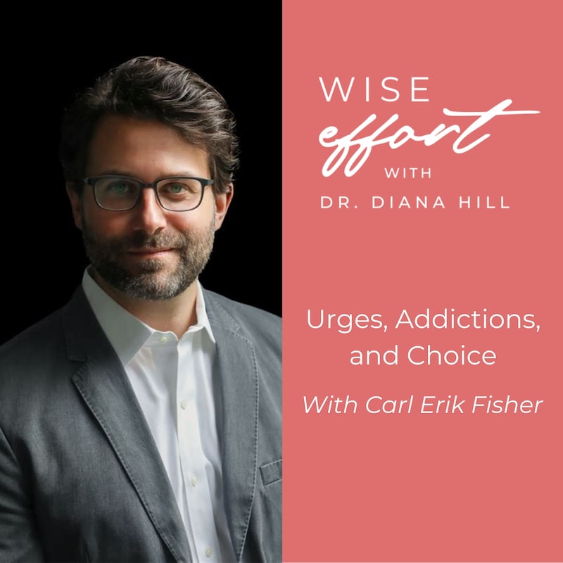Artwork for podcast Wise Effort