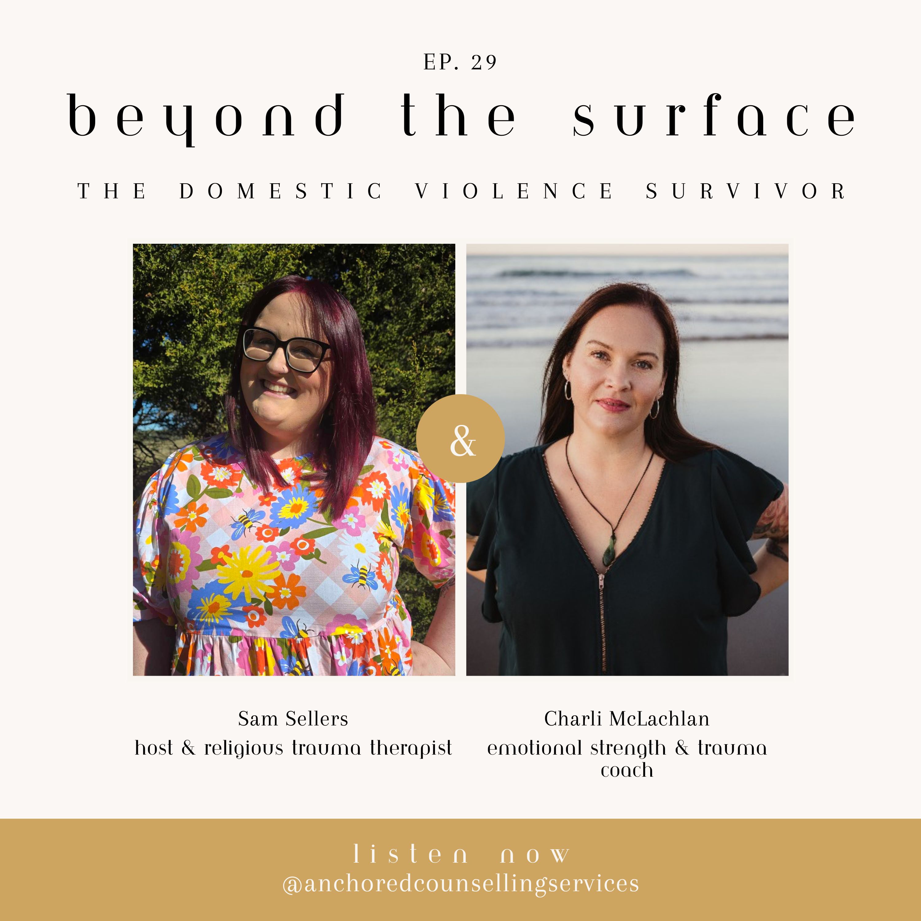 The Domestic Violence Survivor