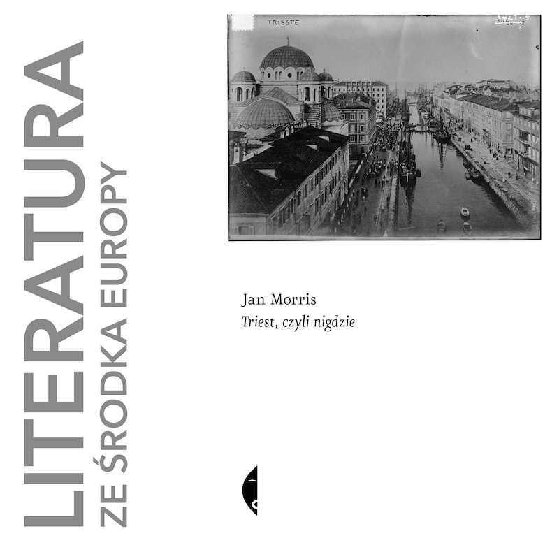 Artwork for podcast Literatura ze środka Europy