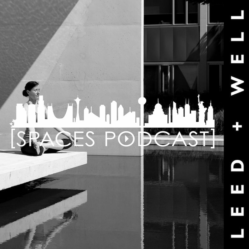 Artwork for podcast Spaces Podcast