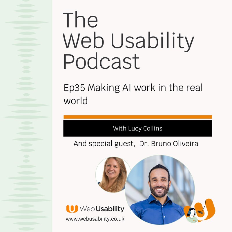 Artwork for podcast The Web Usability Podcast