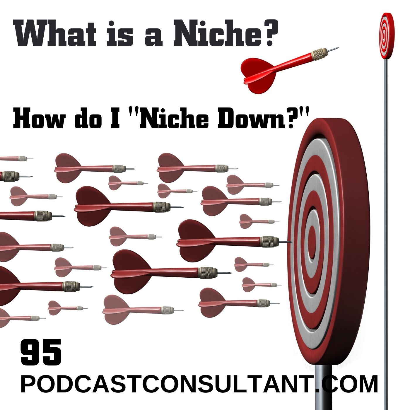 What is a Niche? How Do I Niche Down?
